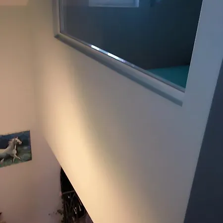 Luxury Marhella & Jakov