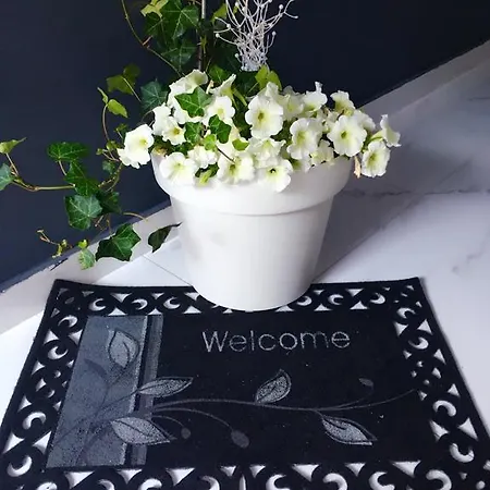 Luxury Marhella & Jakov