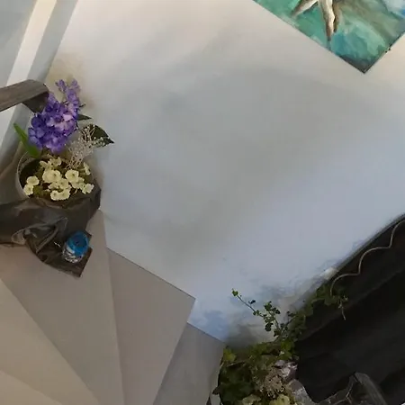 Apartment Luxury Marhella & Jakov *